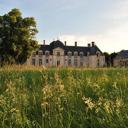 Chateau La Touanne Loire Valley Baccon Экстерьер фото