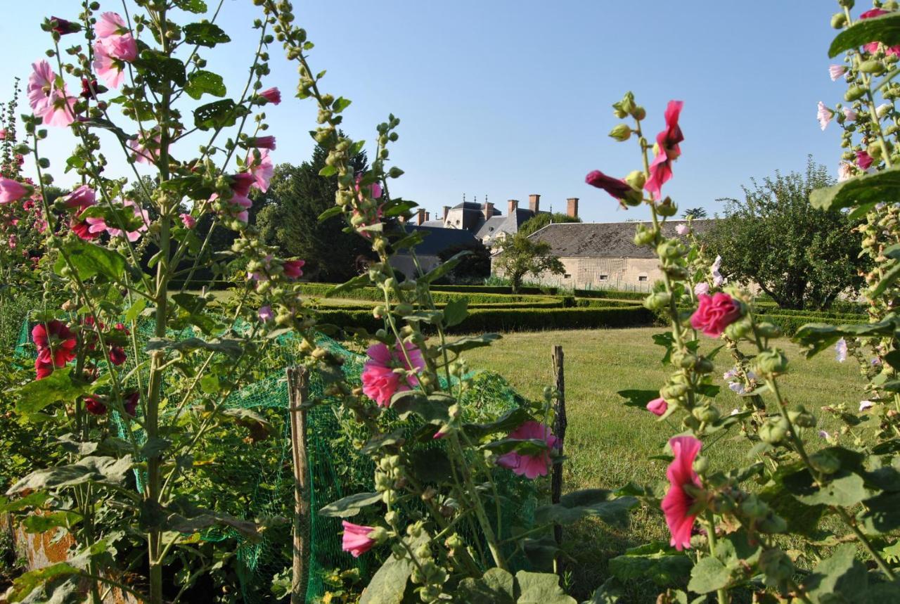 Chateau La Touanne Loire Valley Baccon Экстерьер фото
