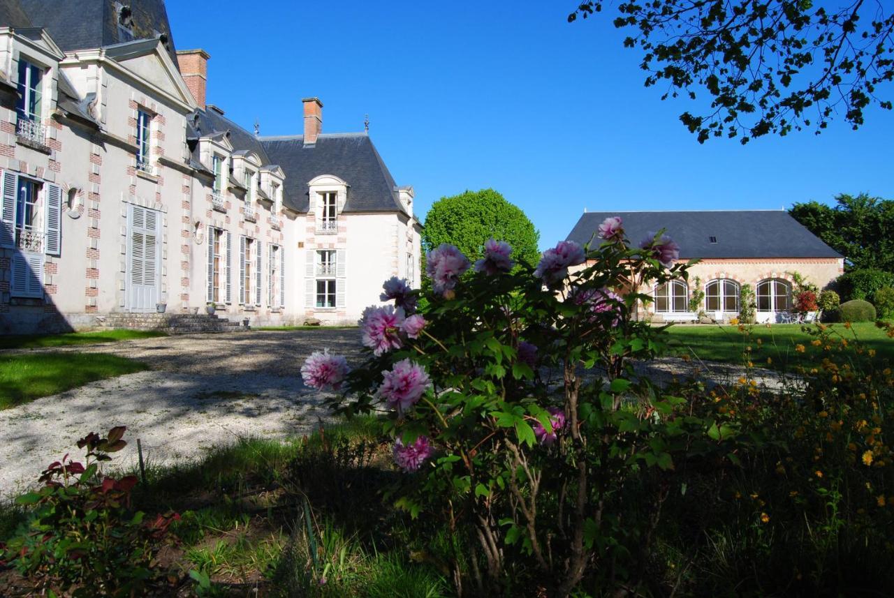 Chateau La Touanne Loire Valley Baccon Экстерьер фото