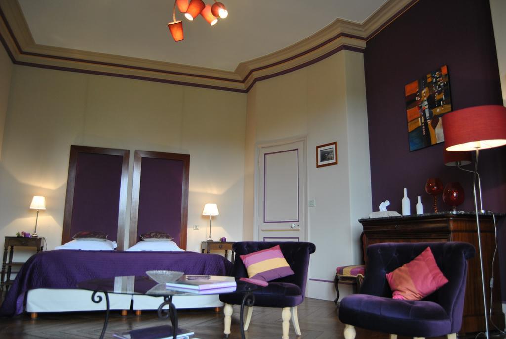 Chateau La Touanne Loire Valley Baccon Экстерьер фото