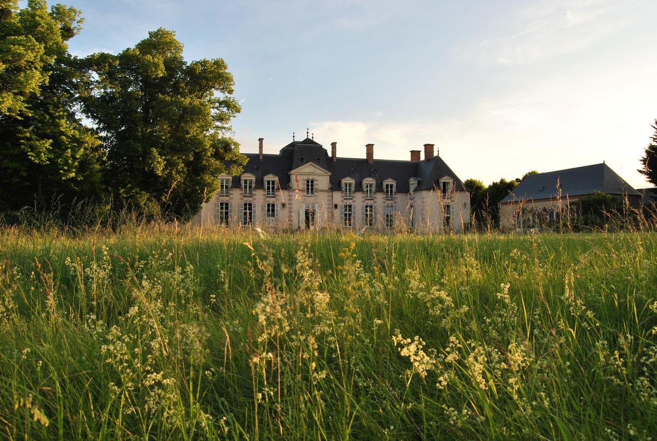 Chateau La Touanne Loire Valley Baccon Экстерьер фото