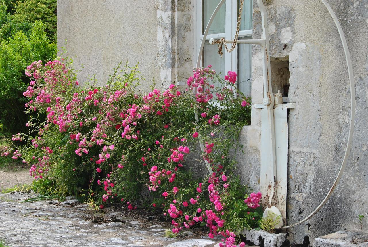 Chateau La Touanne Loire Valley Baccon Экстерьер фото