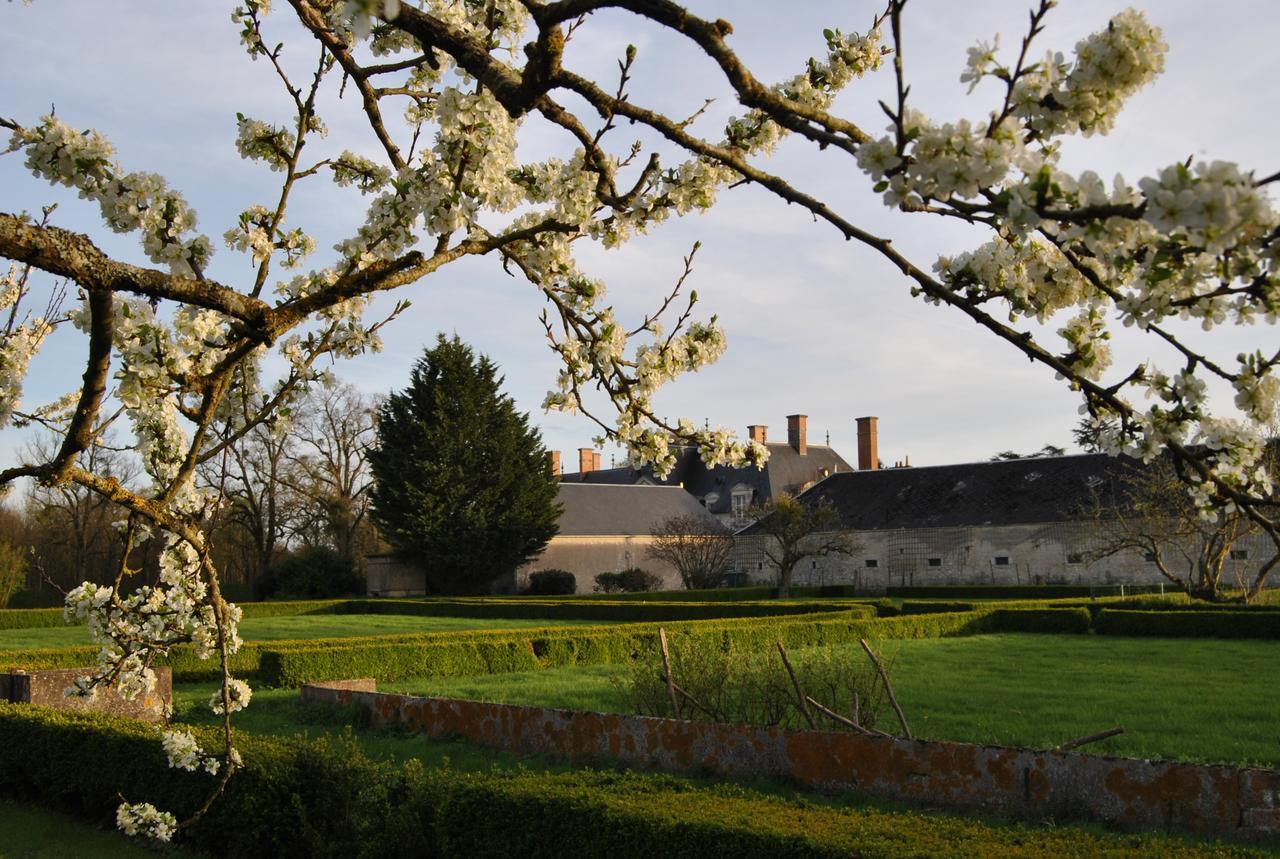 Chateau La Touanne Loire Valley Baccon Экстерьер фото