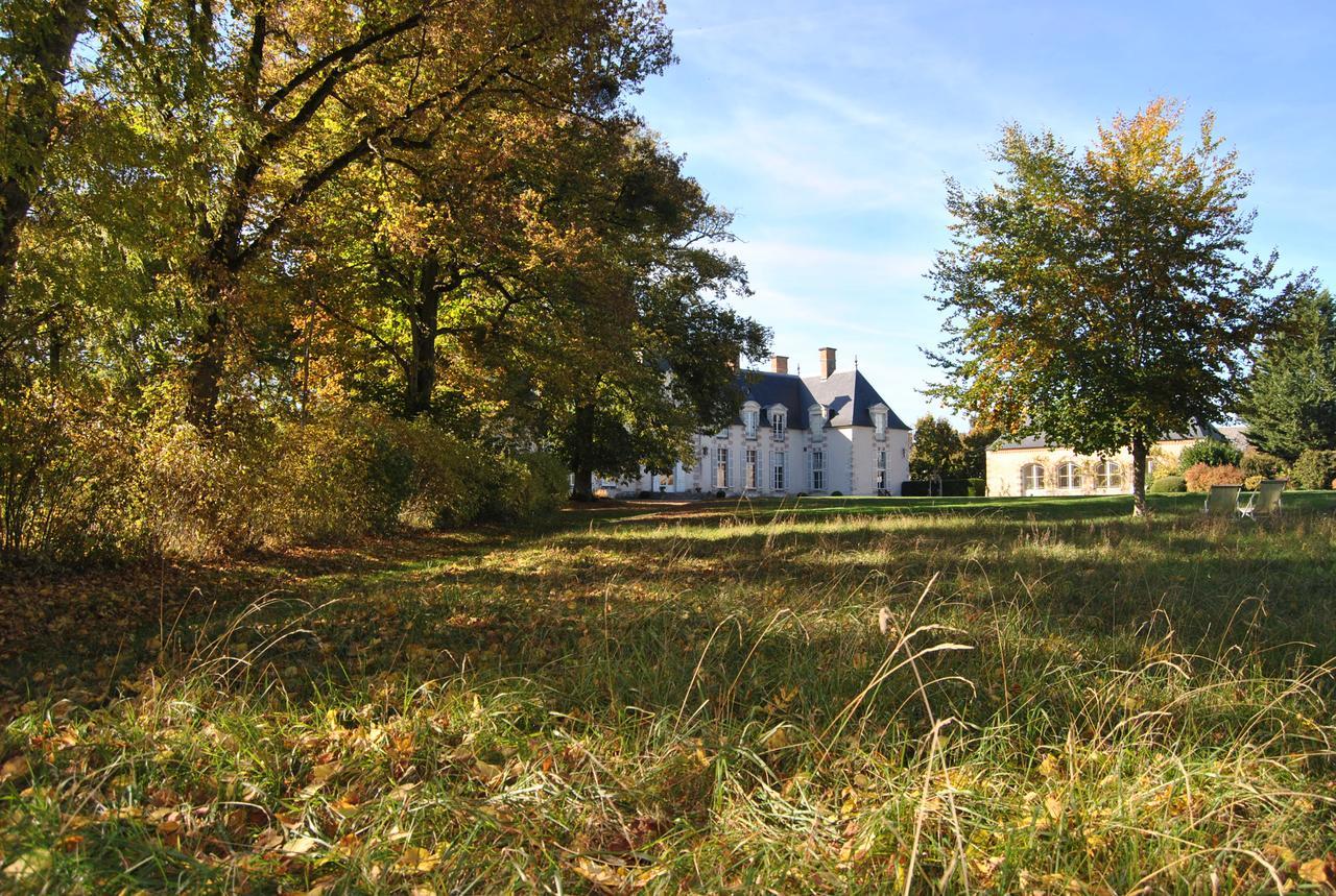 Chateau La Touanne Loire Valley Baccon Экстерьер фото