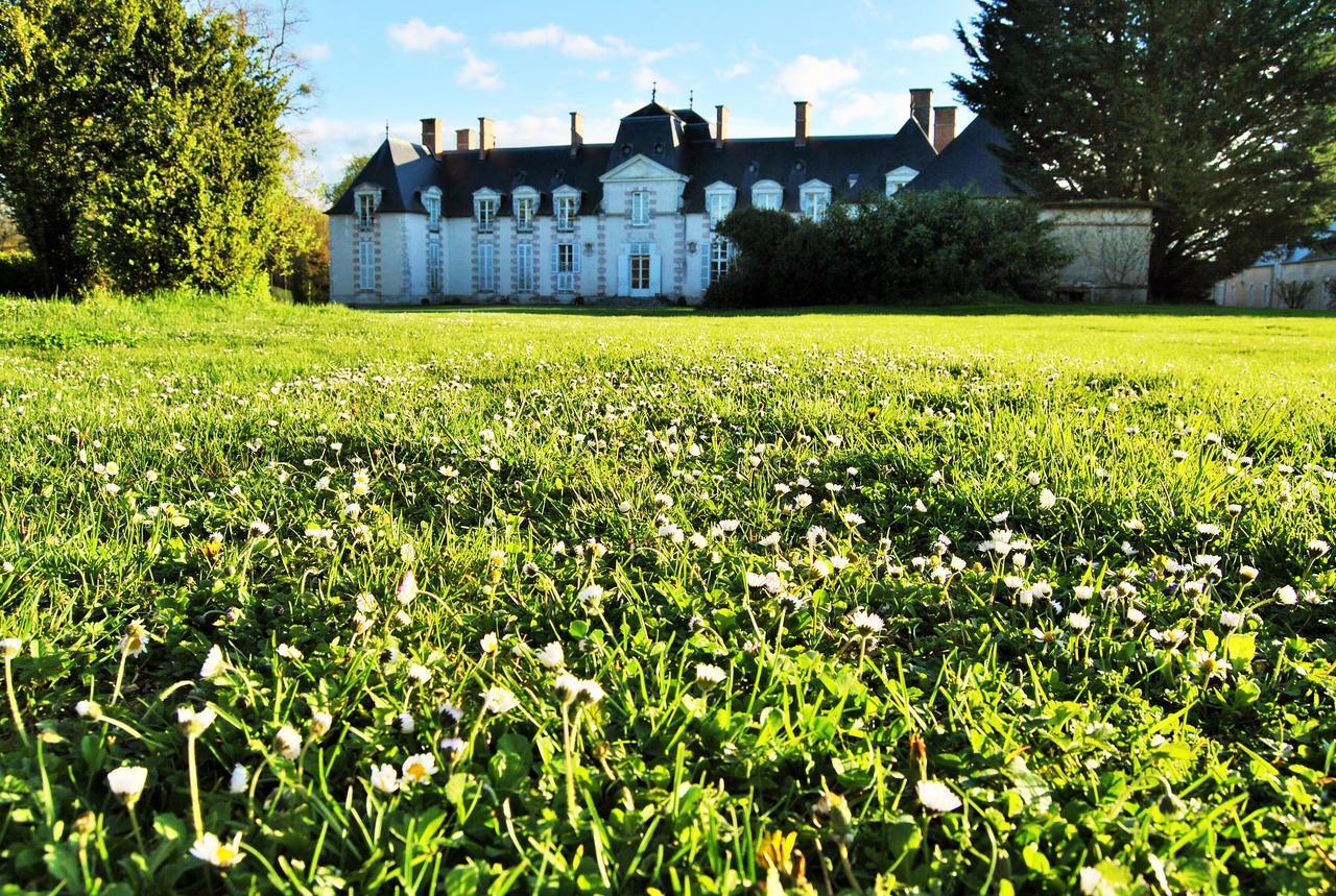 Chateau La Touanne Loire Valley Baccon Экстерьер фото