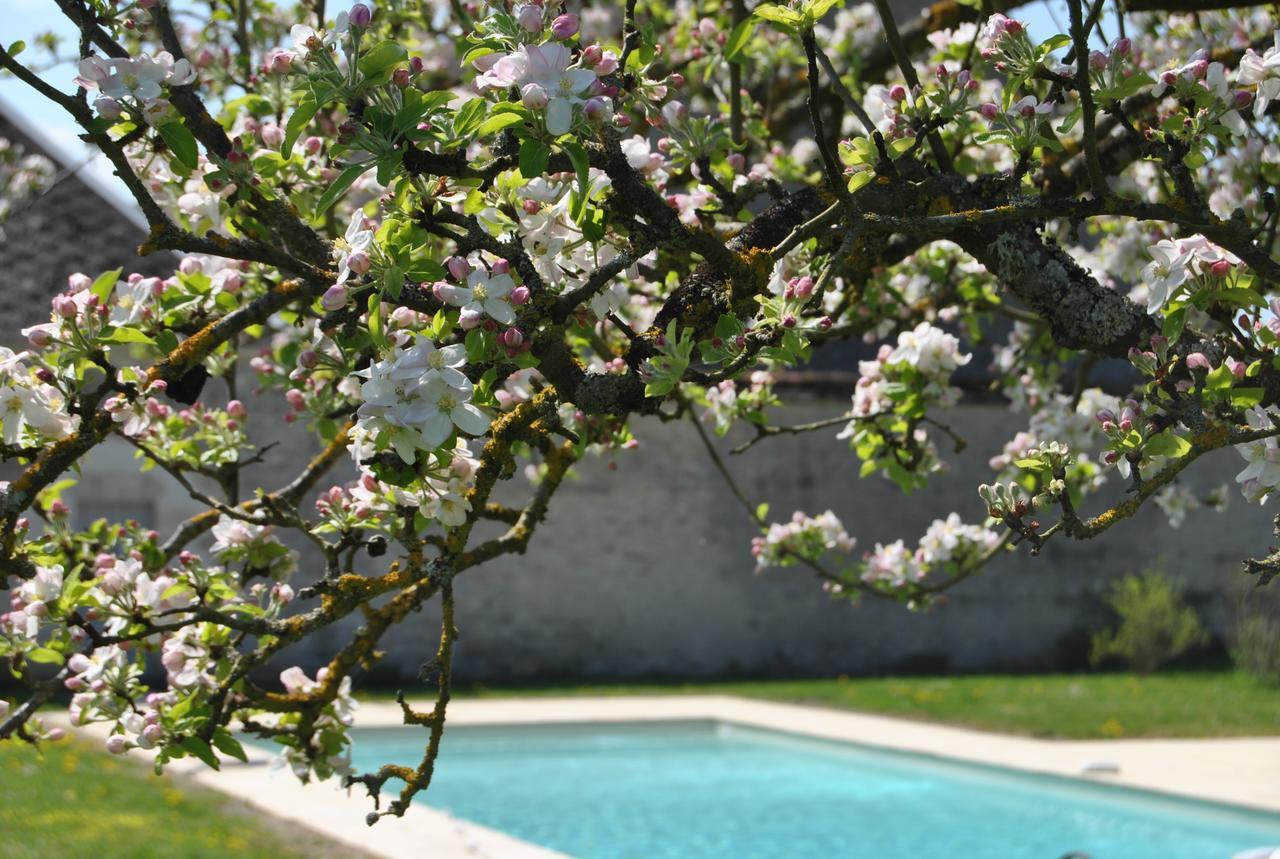 Chateau La Touanne Loire Valley Baccon Экстерьер фото