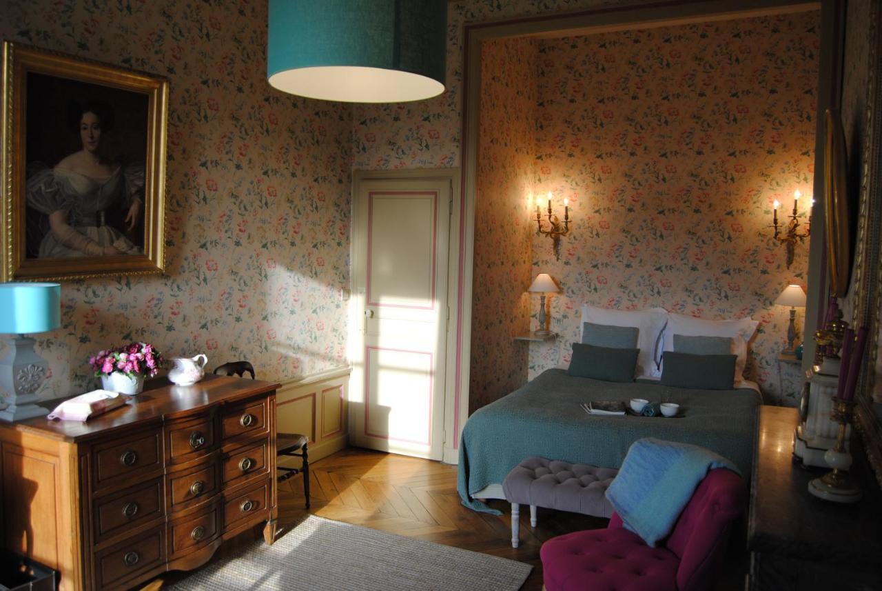 Chateau La Touanne Loire Valley Baccon Экстерьер фото